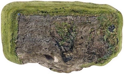 Frans Lampe, Disarry, 2014, 108 x 168,5 cm, c-print op populierenhout Frans Lampe, Disarry, 2014, 108 x 168,5 cm, c-print op populierenhout